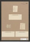 Amphora marina W. Sm. (de-Toni-Nr.: Genus 36, Species 1670) Zeichnungen Sammlung Grunow Nr. 3200 (NHMW-BOT-W0370650)